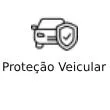 Proteção Veicular