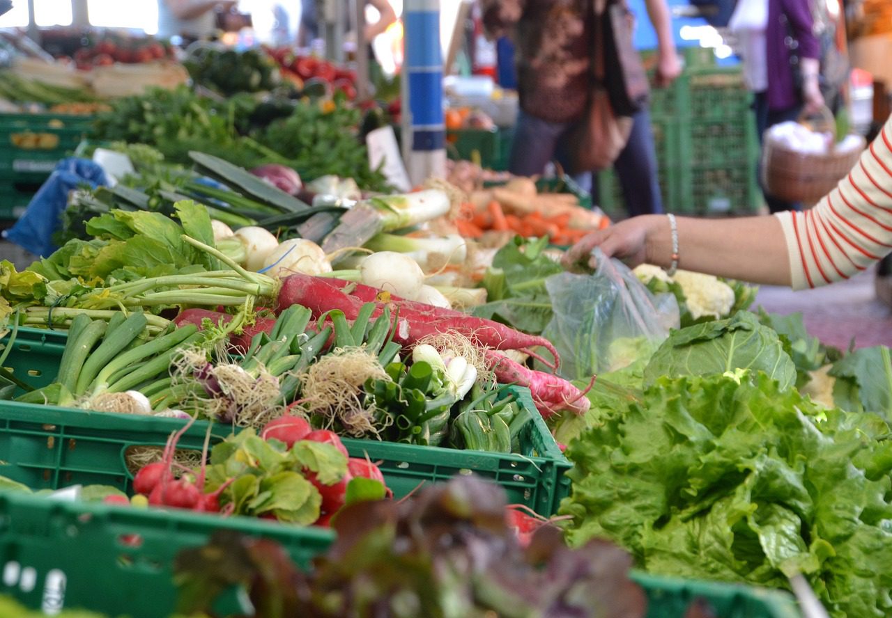 fornecedores-de-alimentos